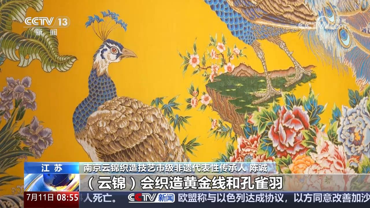 风雅揭开沉睡700多年的时尚密码不朽情缘从传统丝织工艺中的宋代(图6)