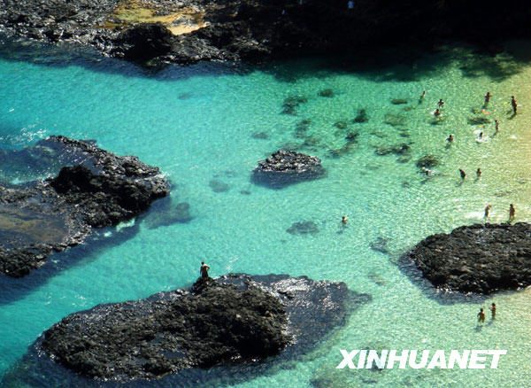 费尔南多—迪诺罗尼亚岛不朽情缘游戏入口美